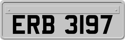 ERB3197