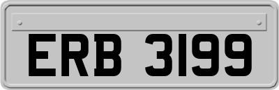 ERB3199
