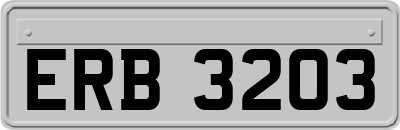ERB3203
