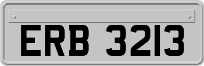 ERB3213