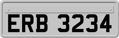 ERB3234