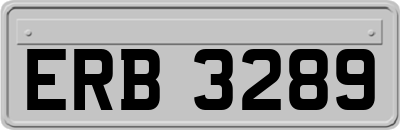 ERB3289