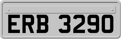 ERB3290