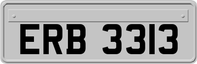 ERB3313