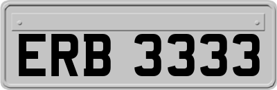 ERB3333