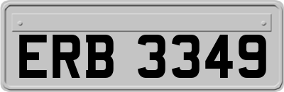 ERB3349