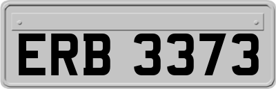 ERB3373