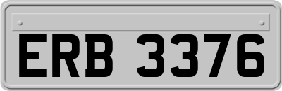 ERB3376