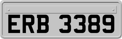 ERB3389