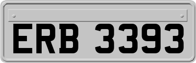 ERB3393