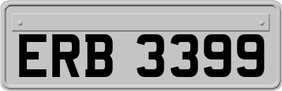 ERB3399