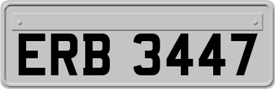 ERB3447