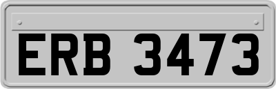 ERB3473