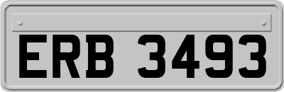ERB3493