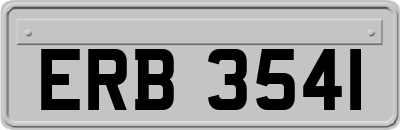 ERB3541