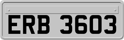 ERB3603