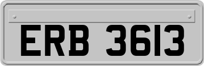 ERB3613