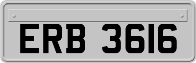 ERB3616