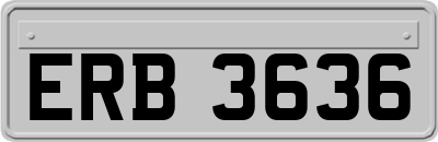 ERB3636