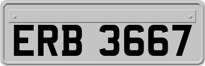 ERB3667