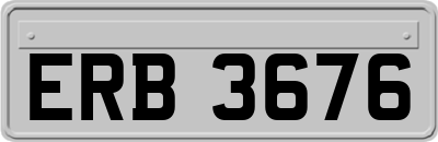 ERB3676