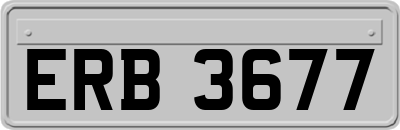 ERB3677
