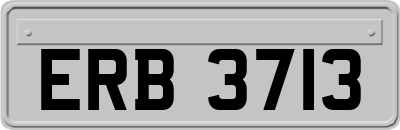 ERB3713