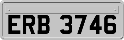 ERB3746