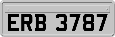 ERB3787