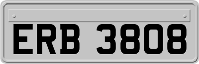 ERB3808