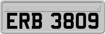 ERB3809