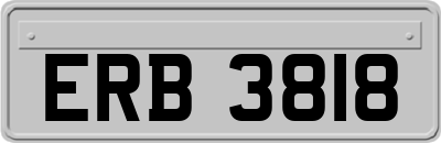 ERB3818