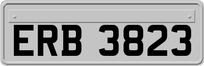 ERB3823