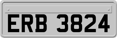 ERB3824