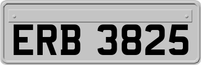 ERB3825