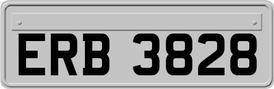 ERB3828