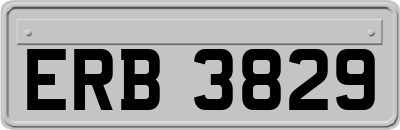ERB3829
