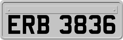 ERB3836