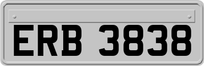 ERB3838