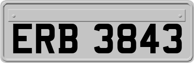 ERB3843