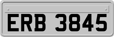 ERB3845