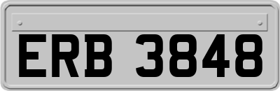 ERB3848