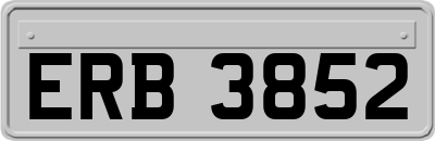 ERB3852
