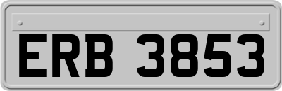 ERB3853