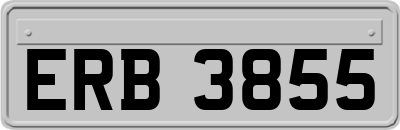 ERB3855