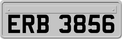 ERB3856