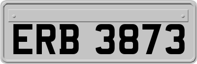 ERB3873