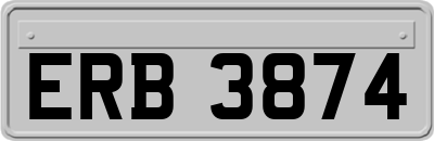 ERB3874