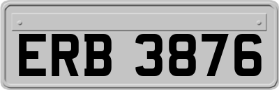 ERB3876