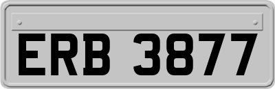 ERB3877